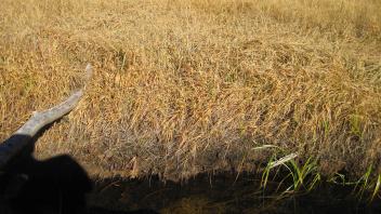 Middle Transect Channel Left to Right