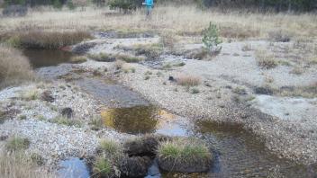 Middle Transect Channel Left to Right
