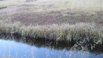Middle Transect Channel Left to Right