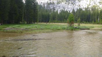 Middle Transect Channel Left to Right