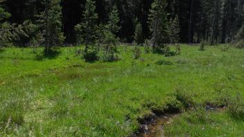 Middle Transect Channel Left to Right