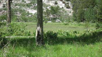 Middle Transect Channel Left to Right