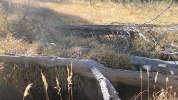 Middle Transect Channel Right to Left