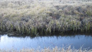 Middle Transect Channel Right to Left