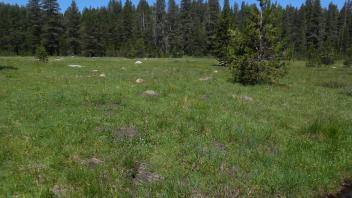 Middle Transect Channel Right to Left