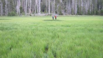 Middle Transect Channel Right to Left