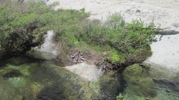 Middle Transect Channel Right to Left