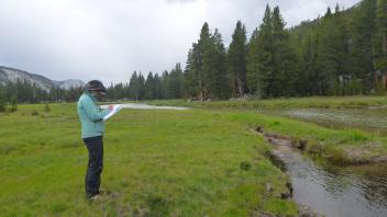 Middle Transect Downstream