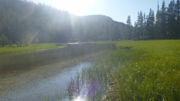 Middle Transect Downstream