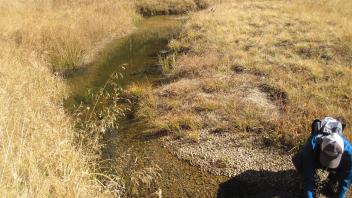 Middle Transect Downstream