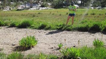 Middle Transect Left to Right Channel 2 Across
