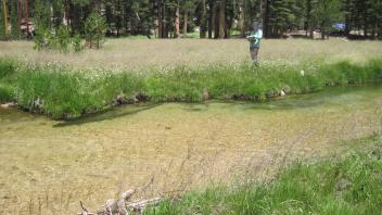 Middle Transect Left to Right Channel Across