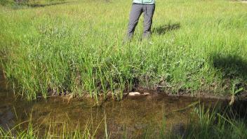 Middle Transect Left to Right Channel Across