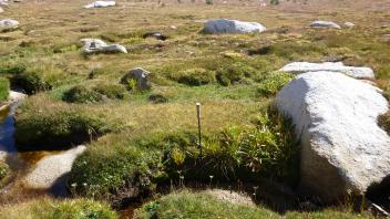 Middle Transect Left to Right Channel