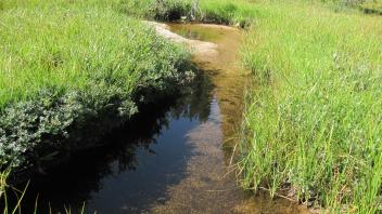 Middle Transect Left to Right Downstream