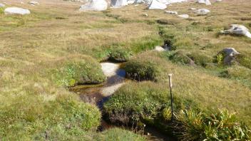 Middle Transect Left to Right Downstream