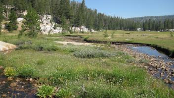 Middle Transect Left to Right Downstream