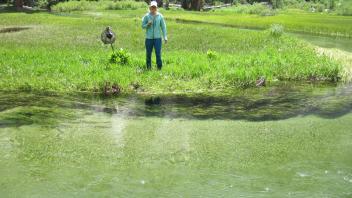 Middle Transect Left to Right Overview