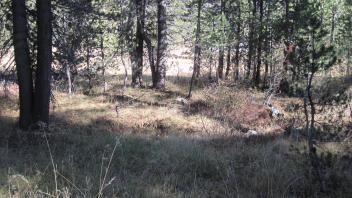 Middle Transect Left to Right Overview