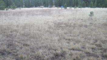 Middle Transect Left to Right Overview