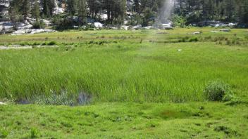 Middle Transect Left to Right Overview