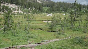 Middle Transect Left to Right Overview