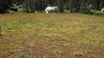 Middle Transect Left to Right Overview