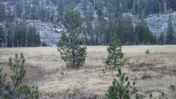Middle Transect Left to Right Overview