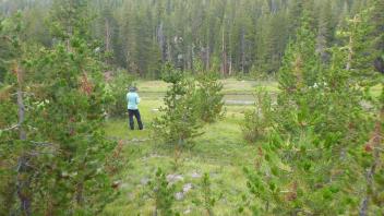 Middle Transect Left to Right Overview