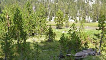 Middle Transect Left to Right Overview