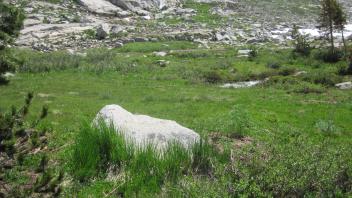 Middle Transect Left to Right Overview