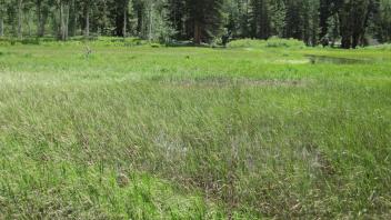 Middle Transect Left to Right Overview