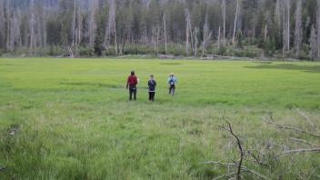 Middle Transect Left to Right Overview