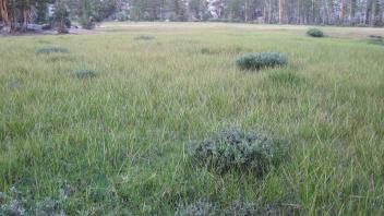 Middle Transect Left to Right Overview