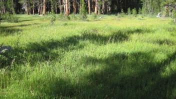 Middle Transect Left to Right Overview