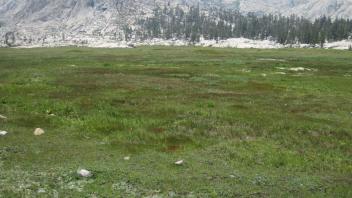 Middle Transect Left to Right Overview