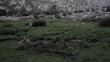 Middle Transect Left to Right Overview