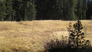 Middle Transect Left to Right Overview