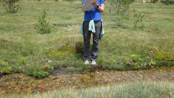 Middle Transect Left to Right Small Channel Across