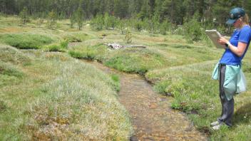 Middle Transect Left to Right Small Channel Downstream