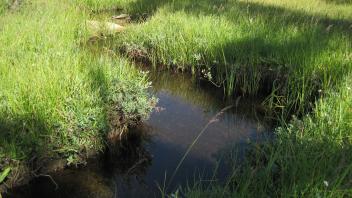 Middle Transect Left to Right Upstream