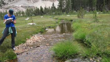 Middle Transect Left to Right Upstream