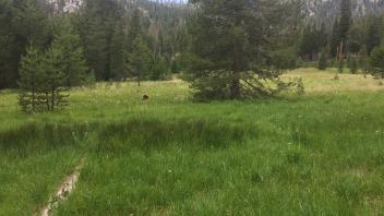 Middle Transect Overview (left to right)