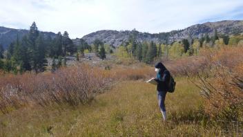 Middle Transect Overview (left to right)