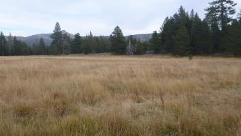 Middle Transect Overview (left to right)