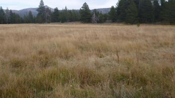 Middle Transect Overview (left to right)