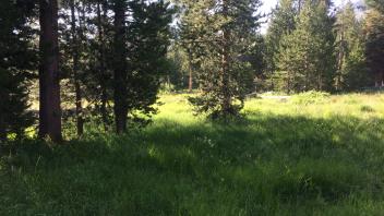 Middle Transect Overview (left to right)