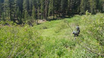 Middle Transect Overview (left to right)