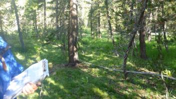 Middle Transect Overview (left to right)