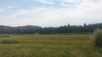 Middle Transect Overview (left to right)